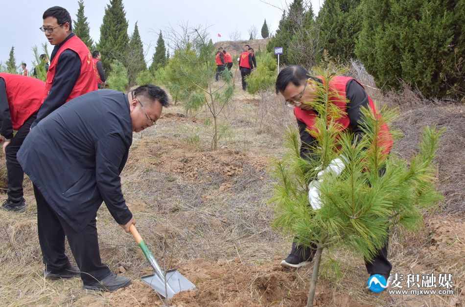 微信图片_20240323155725