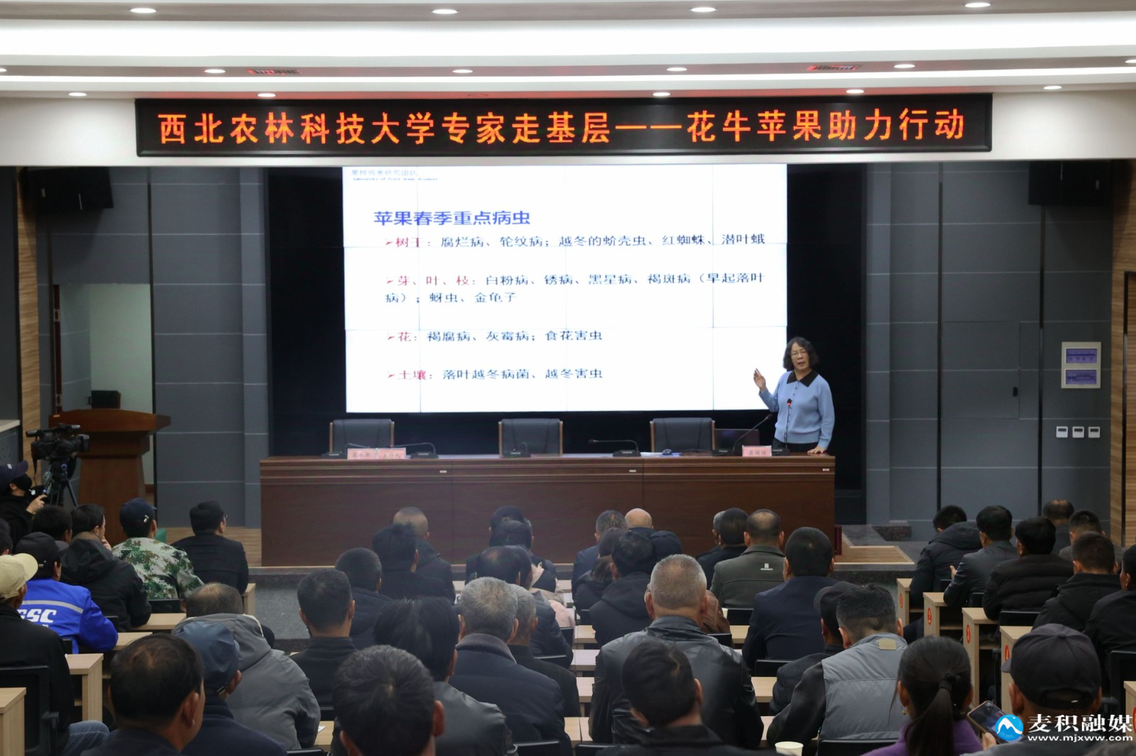 微信图片_20250314235501