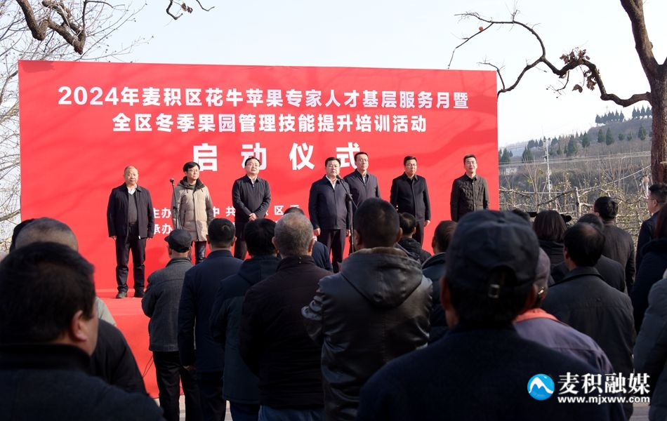 微信图片_20241206205016_副本