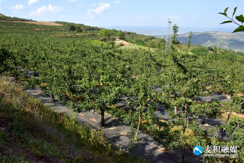 微信图片_20240515221708