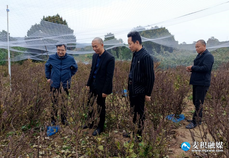 微信图片_20241021195035