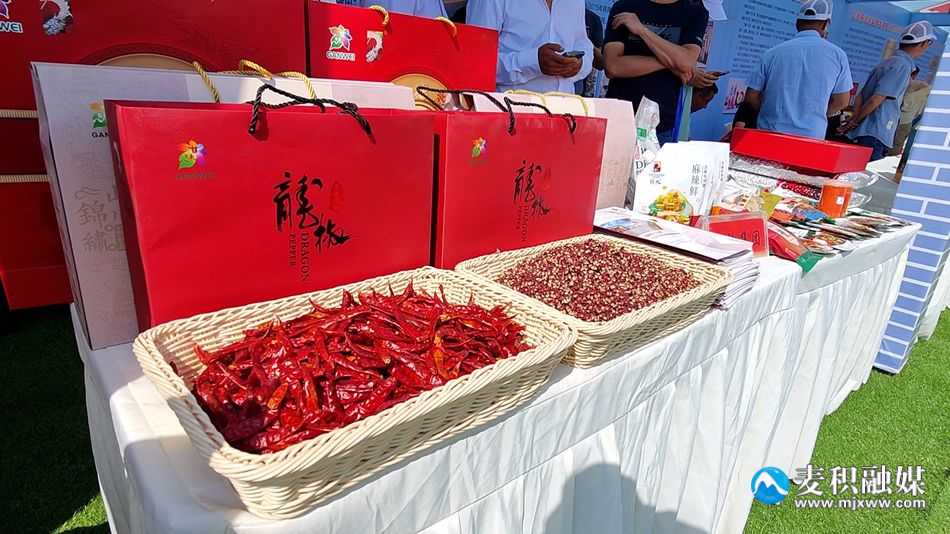 微信图片_20230727220049