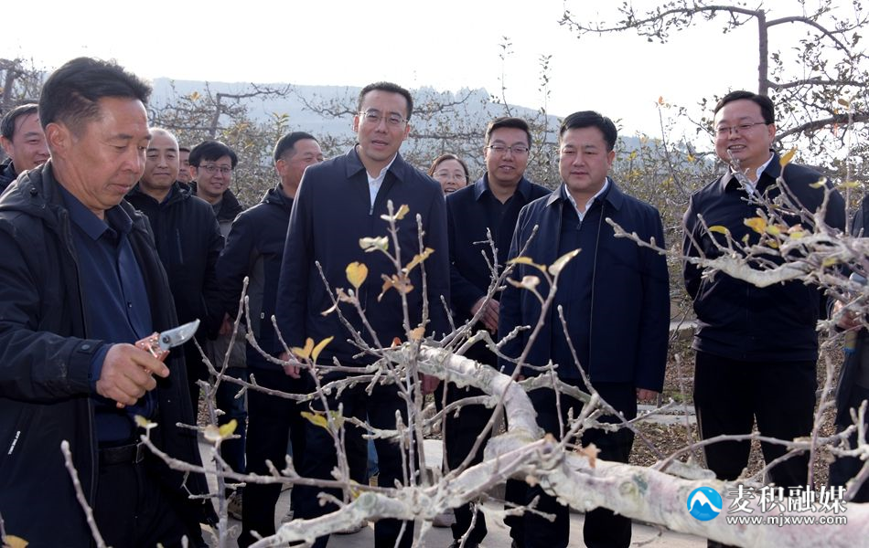 微信图片_20241206205024_副本