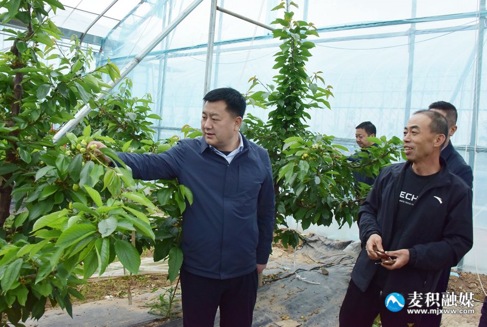 微信图片_20240411205859