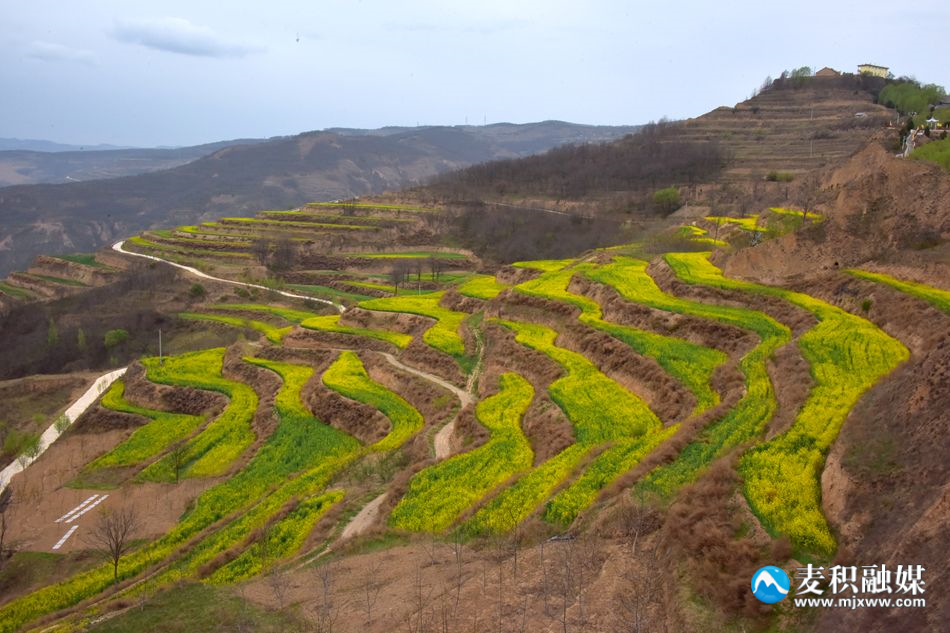 微信图片_20240411205922