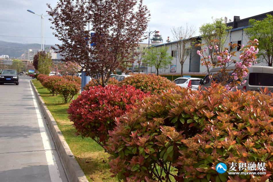 微信图片_20240411205838