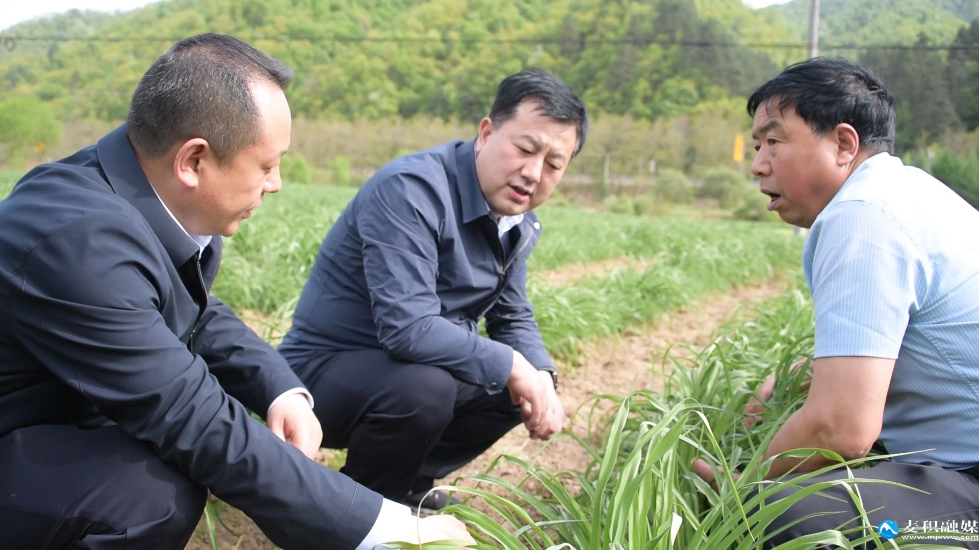 mmexport1746535492093 mmexport1746535492093