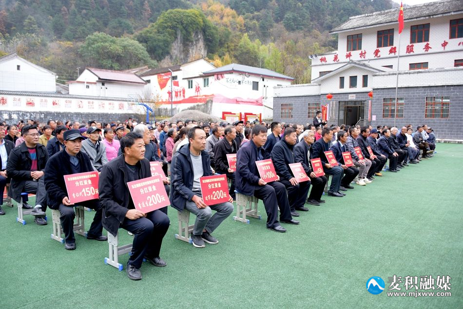 d06e60da3abfa127f473f4d63c7496e