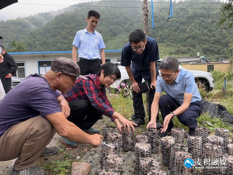 微信图片_20230826130008_副本