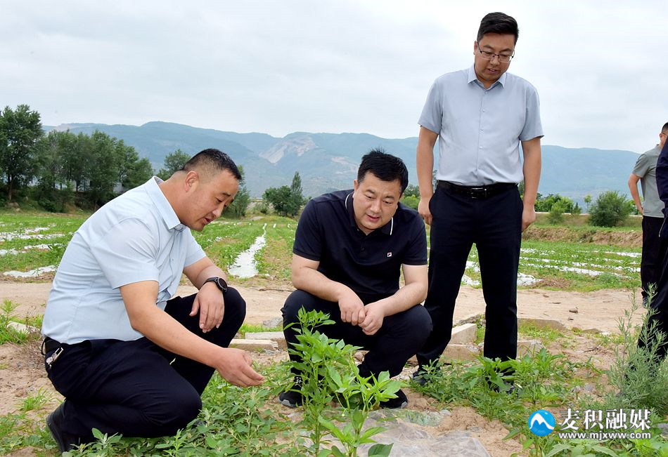 微信图片_20240605175325