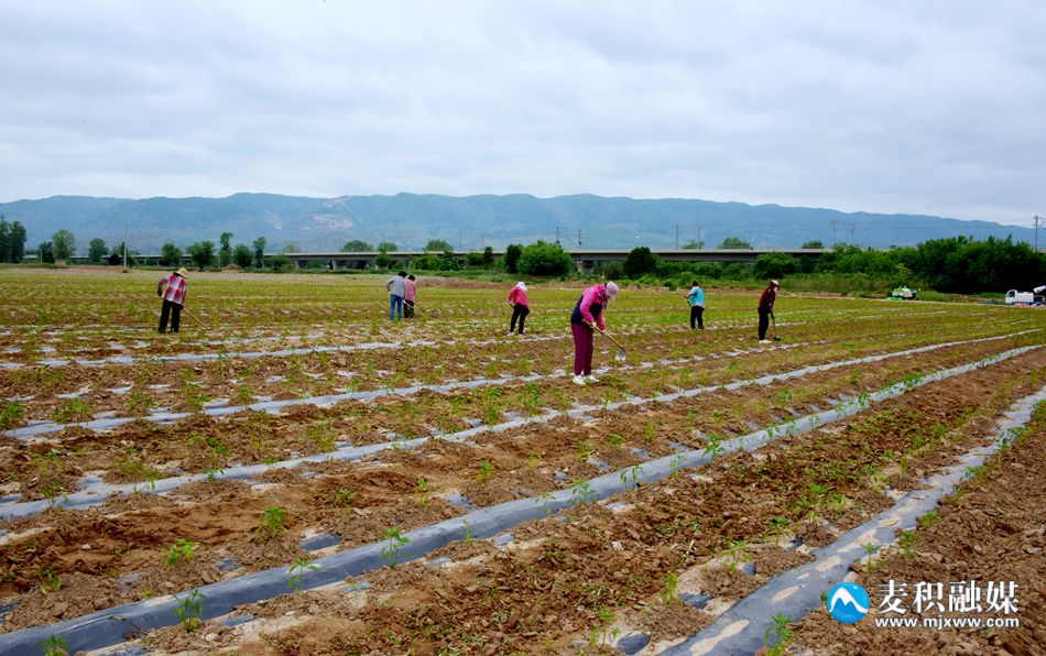 微信图片_20240605175306