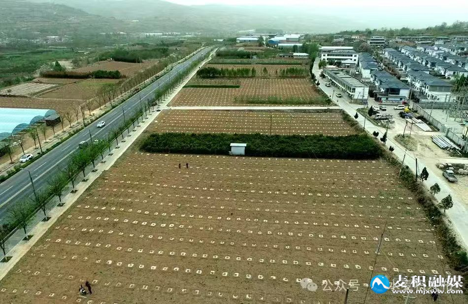 WechatIMG88 WechatIMG88