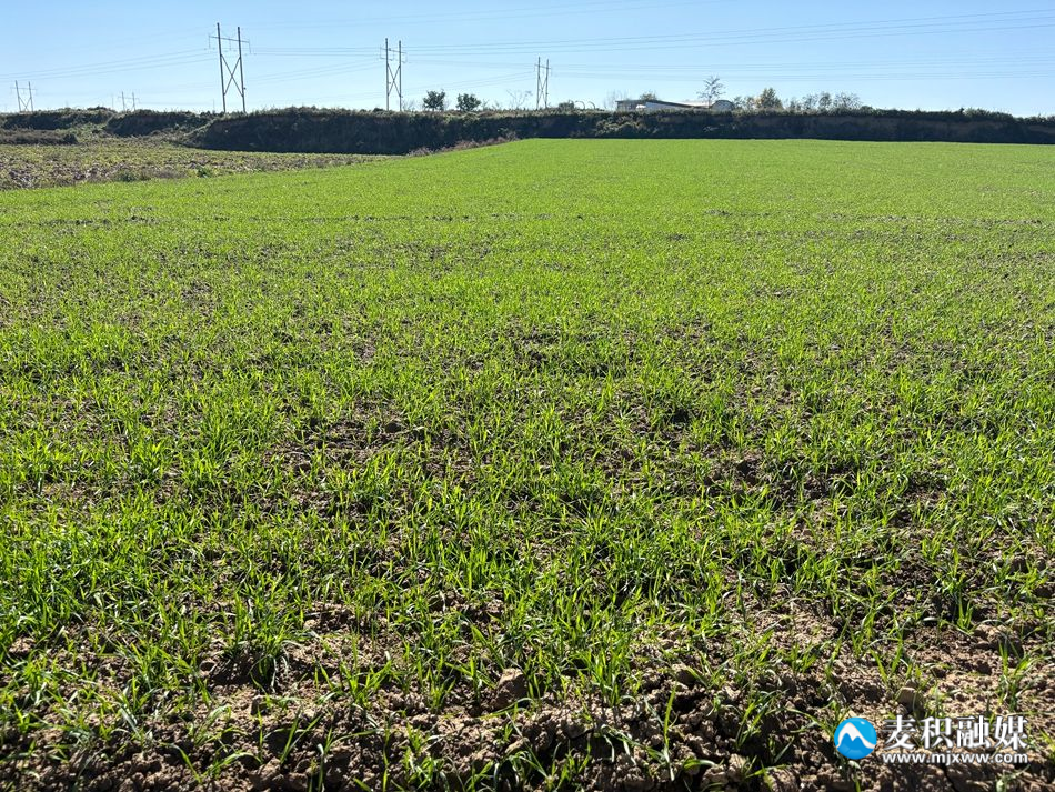 0aa9efec9d30005506ed802b2b31363