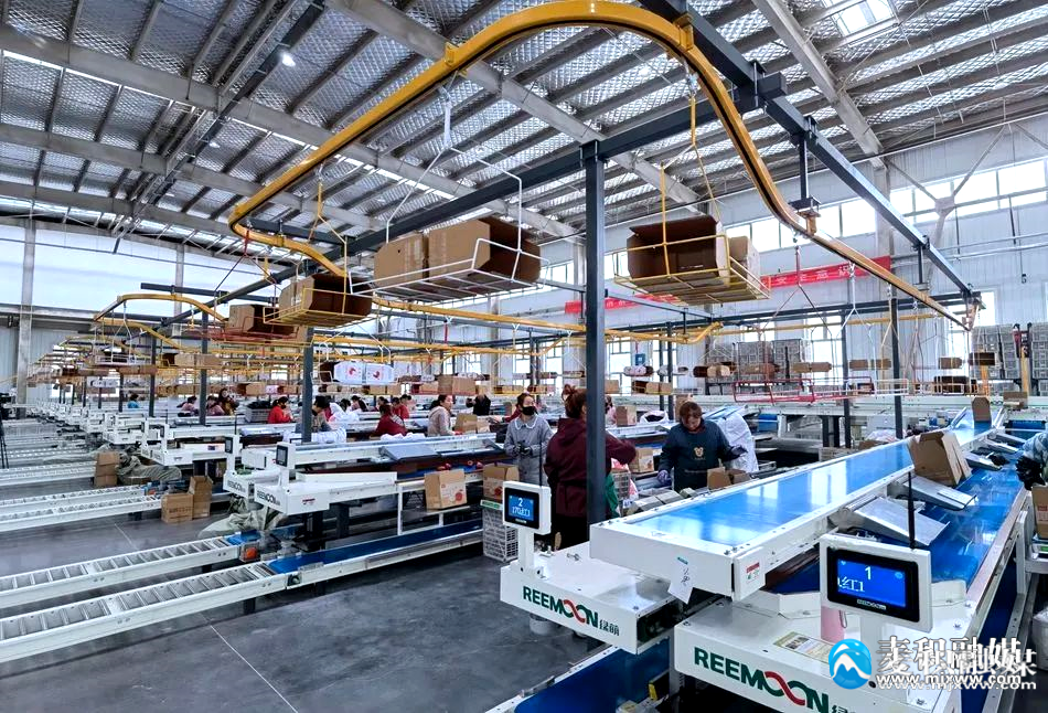 133759687560431124_副本