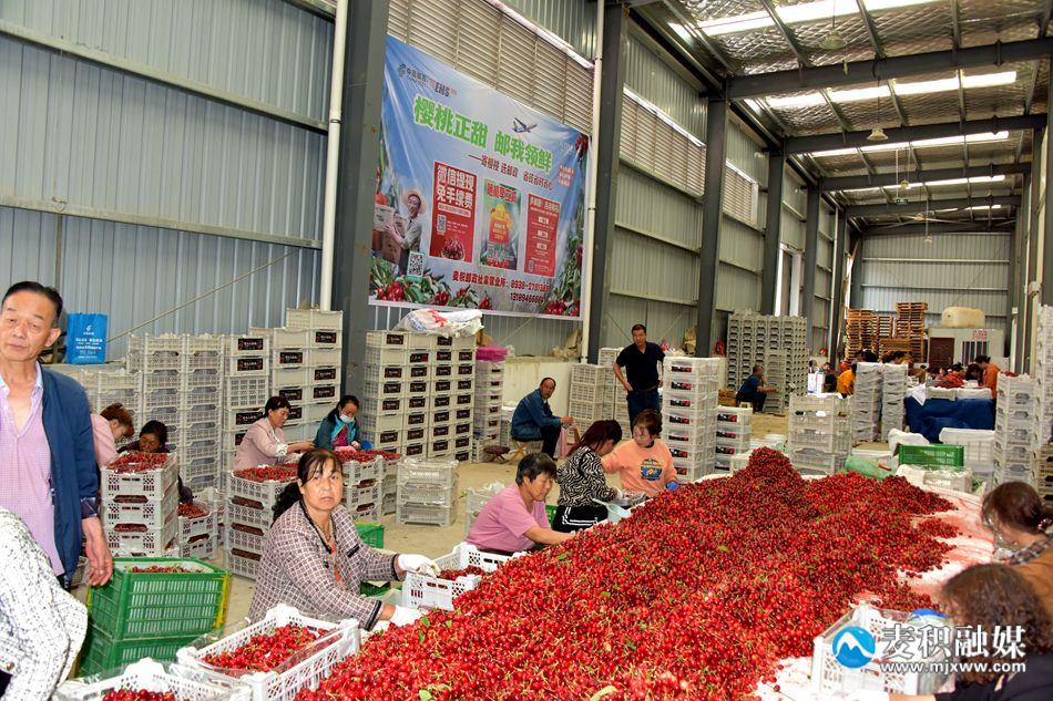 微信图片_20240603195947