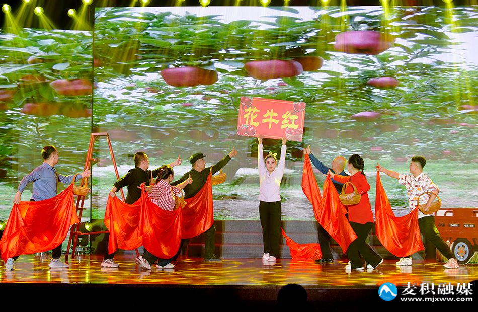 微信图片_20250125094722-1