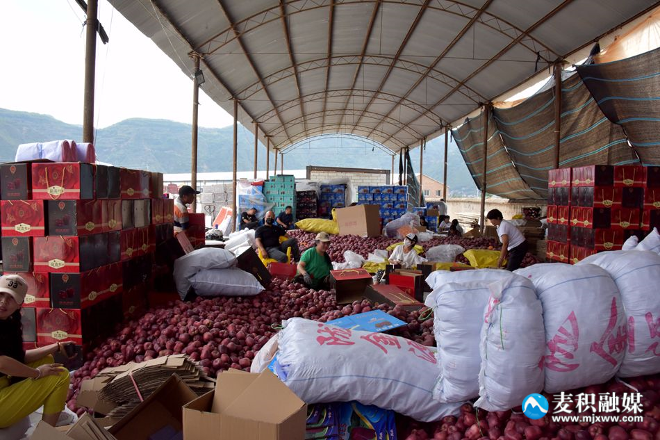 微信图片_20230916184508