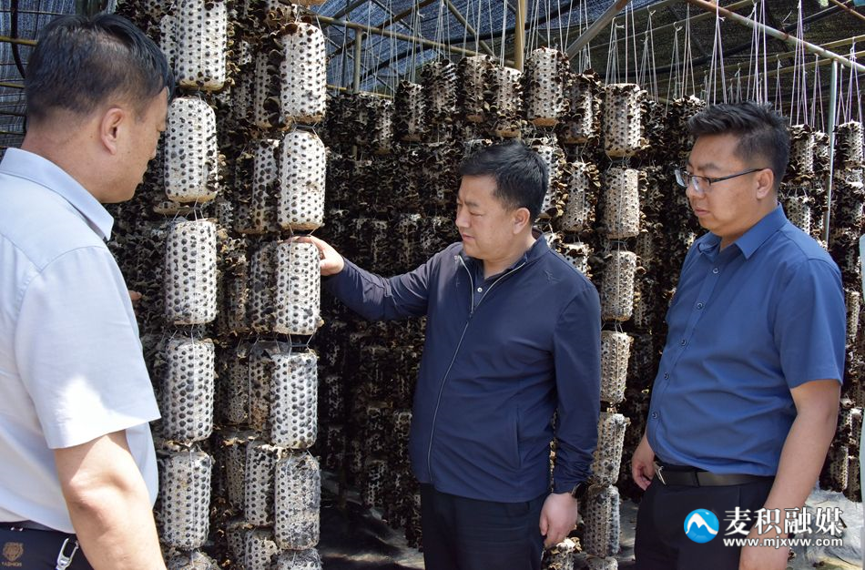 微信图片_20240515221530